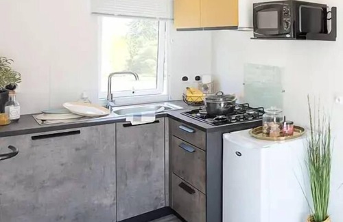 Aizenay Maison | Camping La Forêt * - Mobile home Ibiza Premium 2 rooms 2/4 people