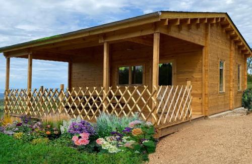 Vollore-Ville Autre | Camping le Montbartoux