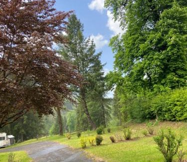 Le Petit-Bornand-les-Glieres Autre | Camping les Marronniers