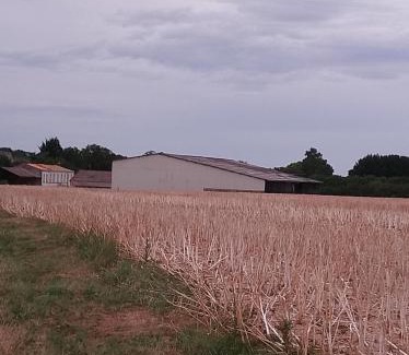 Corme-Royal Autre | Camping les Petites Roches