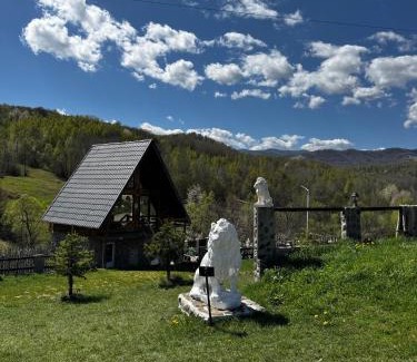 Merisor Autre | Camping, Picnic Merișor Bănița Hunedoara