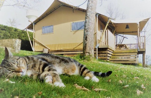 Cassagnabere-Tournas Maison | Camping Pré Fixe**** - Lodge Safari Woody 3 rooms 4 persons