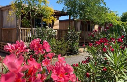Malgrat de Mar Autre | Camping Resort Els Pins
