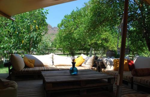 Cirali Autre | Campo Portakal Eco Glamping