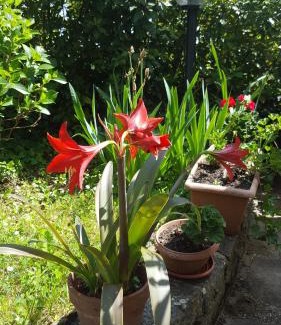 Montagnana Lit Et Petit-Déjeuner | Campomaggio