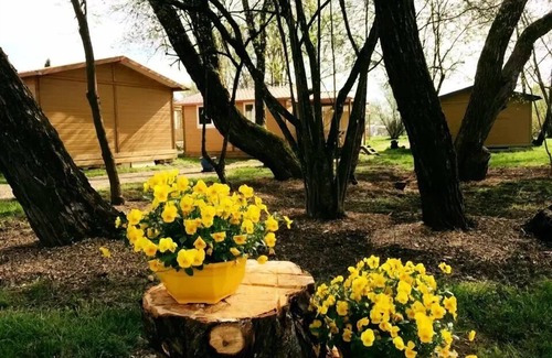 Belfort Chalet De Ski | Camping L'Etang des Forges*** - Chalet Moréa 3 Pièces 5 Personnes