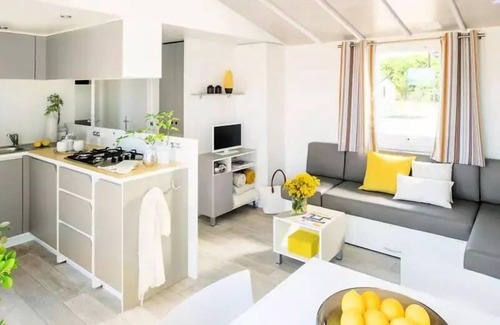 Patornay Maison | Mobil home Family XL 40 m² - climatisé 7 personnes