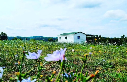 Soturac Maison | Mobil home 2 chambres panoramique Dordogne climatisé lave -vaiselle 6 personnes