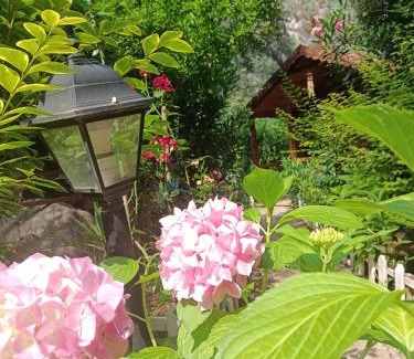 Cirali Cabine | Canario Bungalows