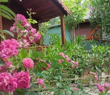 Cirali Cabine | Canario Bungalows