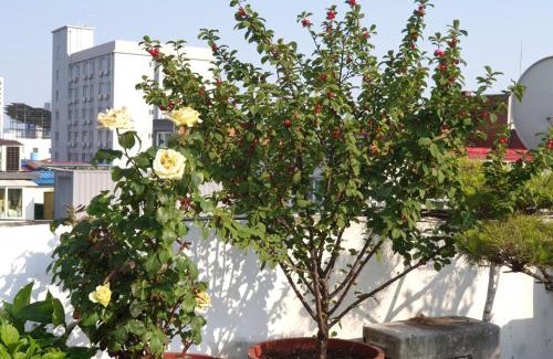 Haga-ri Maison | Cancan Guesthouse