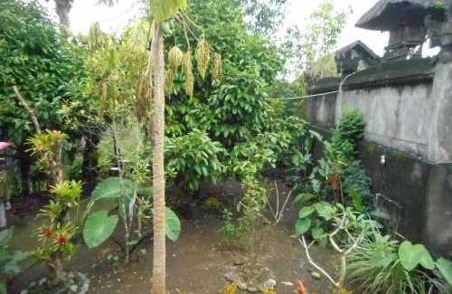 Besakih Maison | Candra Homestay Besakih