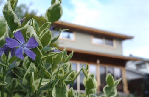Ikeda Maison | CANOA GUEST HOUSE B room- Vacation STAY 47218v