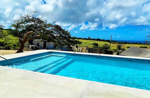 Gibbs Bay Appartement | Canvas and Cave Barbados