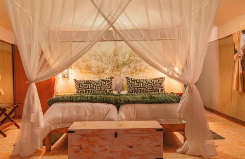 Maruleng Hôtel | Cape Vulture Lodge