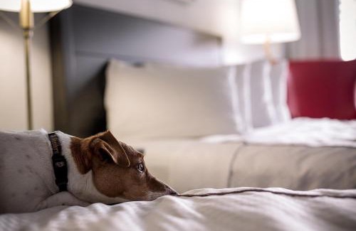 Capitol Hill Hôtel | Capitol Hill Hotel