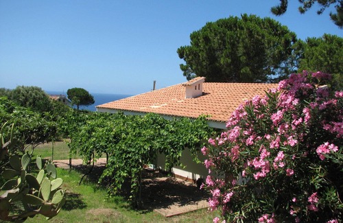 Santa Maria Maison | Capo Vaticano: Maison / villa avec grand jardin, à 300 mètres de la mer