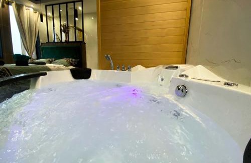 Crespin Appartement | Capsule Egypte - Jacuzzi - Sauna - Billard - Netflix & Home cinéma - Nintendo switch & jeu -