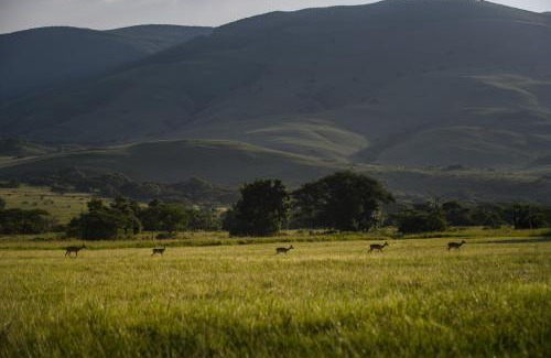 Houtboschoek Cabine | Caracal Lodge