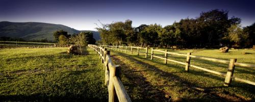 Houtboschoek Cabine | Caracal Lodge