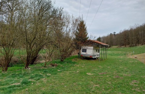 Lohma Maison | Caravan for 2 guests with 11m² in Löhma (267252)