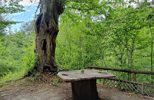 Palazzuolo sul Senio Location De VR | Caravane "Le Sorgenti - Bungalow In Sasso" avec vue sur les montagnes et jardin privé.