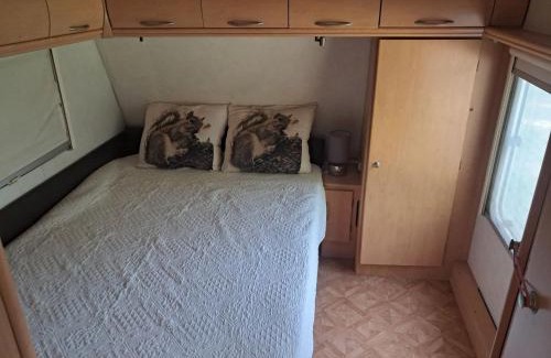 Lagny-sur-Marne Autre | Caravane chez l'habitant proche Disneyland Paris