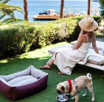 Bodrum City Center Station Balnéaire | Caresse, a Luxury Collection Resort & Spa, Bodrum