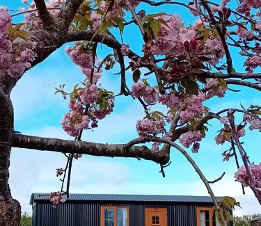Dundalk Appartement | Carlingford Glamping Hut