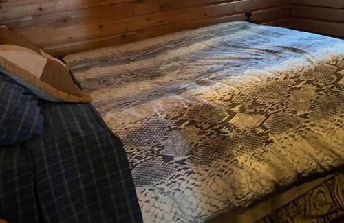 Beaverdell Cabine | Carmi Station Comfy Cabin