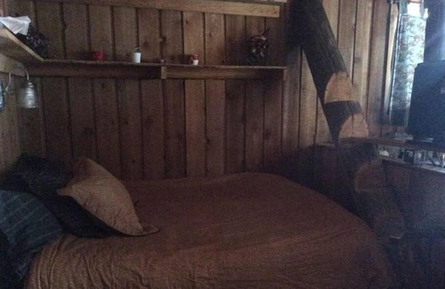 Beaverdell Cabine | Carmi Station Cozy Cabin