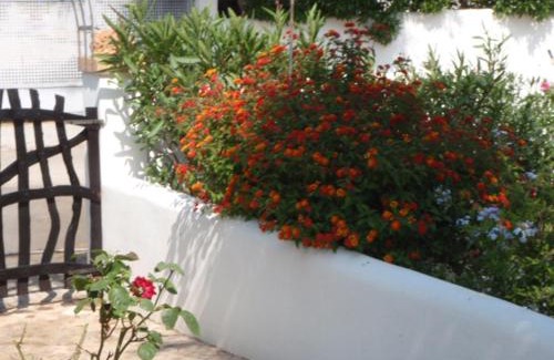 Campos Maison | carpe Diem