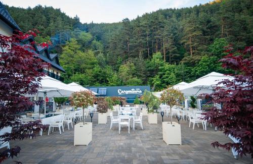 Rasinari Hôtel | Carpentiere Arena