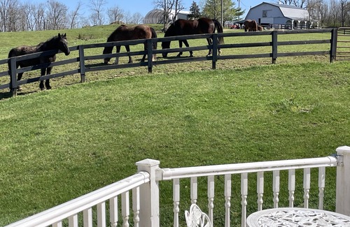 Simpsonville Cottage | Carriage House Cottage on horse farm.