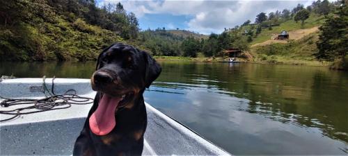 Gomez Plata Autre | Carriquí Glamping