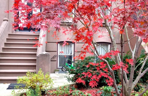 Carroll Gardens Appartement | Carroll Gardens, Brownstone 2 chambres avec jardin, un pâté de maisons à la station F / G