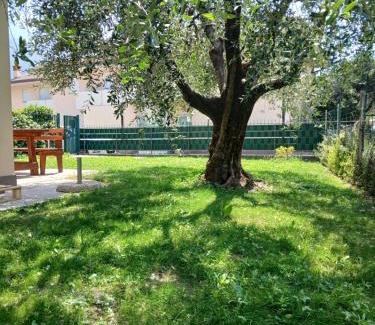 Torbole sul Garda Appartement | Casa ai due Ulivi