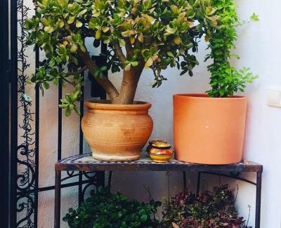 Pinos del Valle Lit Et Petit-Déjeuner | Casa Aire de Lecrin