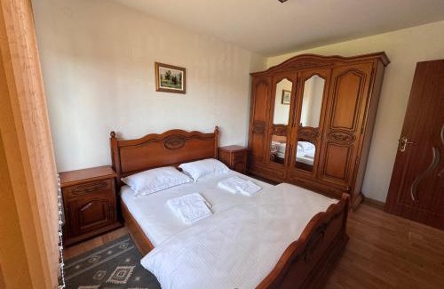 Gura Humorului Maison | Casa Alexana