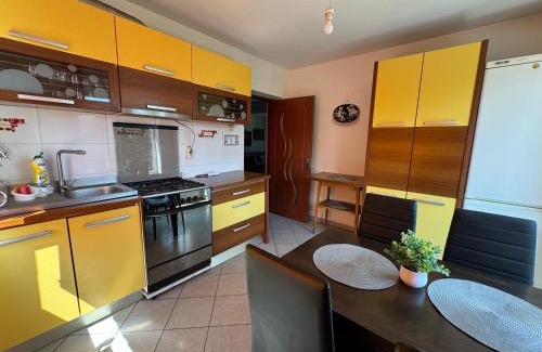 Gura Humorului Maison | Casa Alexana