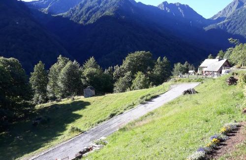 Bannio Anzino Appartement | Casa All'Alpe