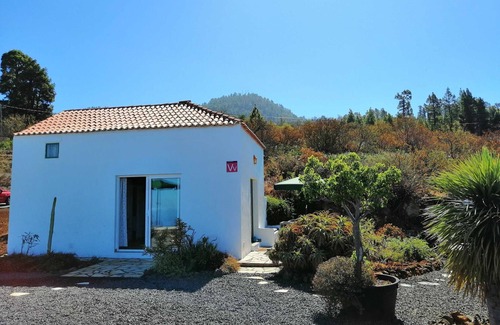 Las Tricias Maison | Casa Alma, Garafía, Espagne
