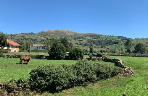 Tezanos Maison | Casa Amalia - En el corazón verde de Cantabria!