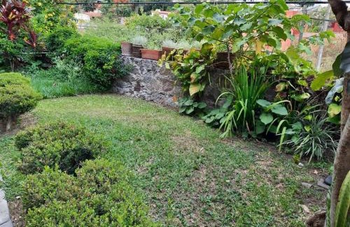 Cuernavaca Appartement | Casa amueblada en cuernavaca