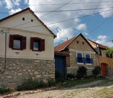 Ciclova Romana Maison | Casa Anca Cheile Nerei