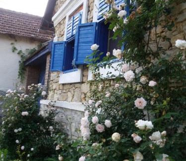 Ciclova Romana Maison | Casa Anca Cheile Nerei