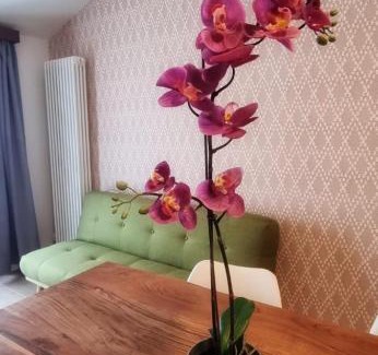 Torbole sul Garda Appartement | Casa Barcelli Sport & Family Apartments