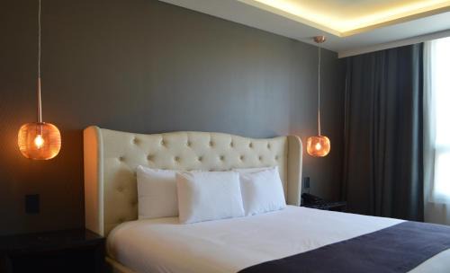 Pachuca Hôtel | Casa Basalto