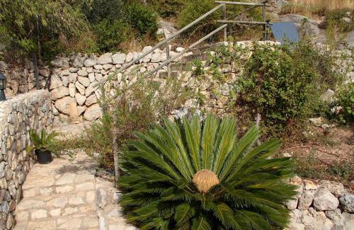 Selva Maison | Casa Bella Mirada