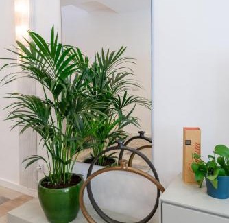 Se Maison | Casa Bella